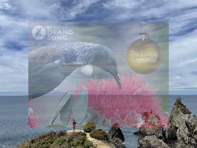 Project Island Song’s 12ks of Christmas - Cameron Lindley
