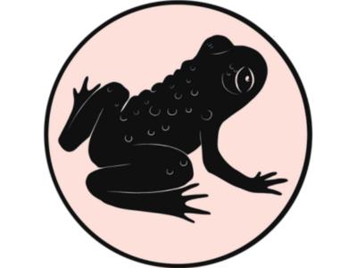 Pepeketua / Hochstetter’s frog