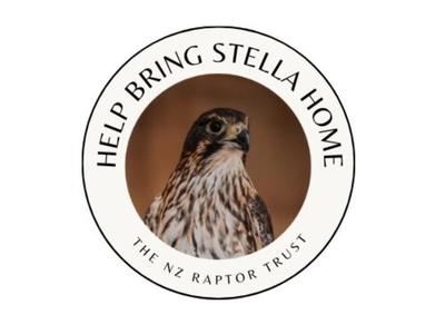 Stella & Jet Are Coming Home — Help Us Finish Their Sanctuary