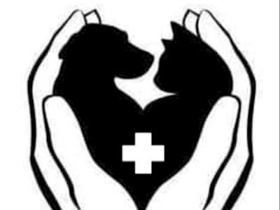 Pet Whisperer Rescue