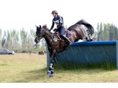 Samantha - Eventing
