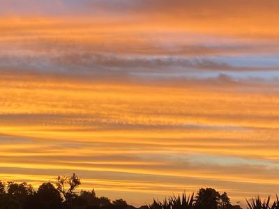 Running for Brain Injury Waikato