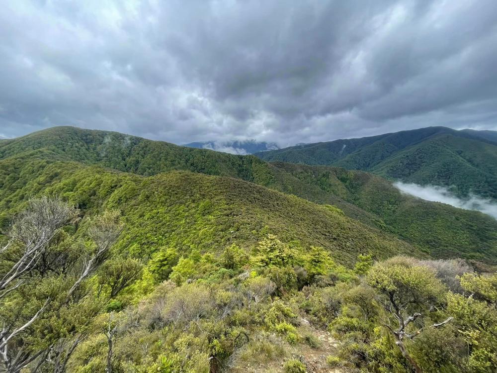 Climbs And Punishment Lowe, Felix - Broché