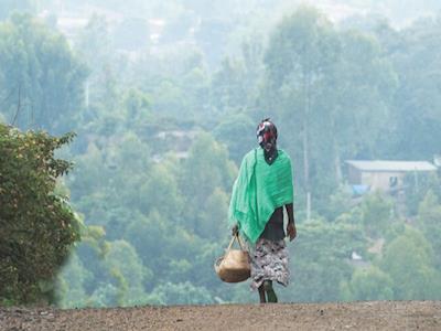 HFE NZ - Patient Identification Program