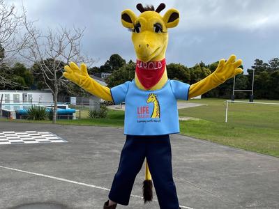 Running the North Shore (quarter) Marathon for Harold