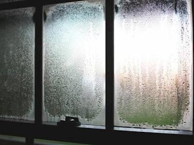 Dunedin Curtain Bank - Urgent need for winter funding