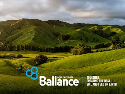 Ballance IT Fundraiser - Raising support for Rural Wellbeing