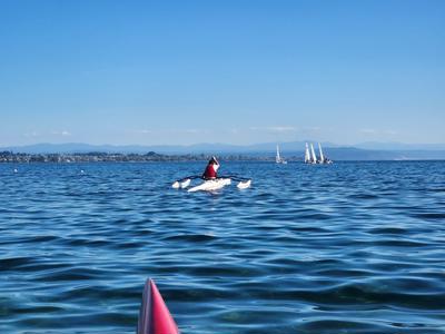 Help Neurologically-Afflicted Folk