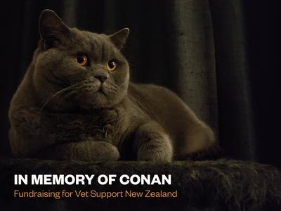 Fundraising for Vet Support New Zealand, in memory of Conan