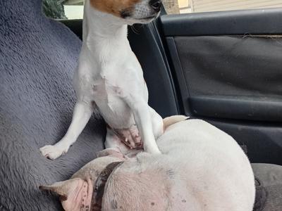 Rural is losing farmers. The cities losing tradies. The statistics are bad please help