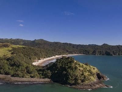 $20k needed to save New Chum Beach/Wainuiototo from development
