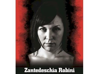  Zantedeschia Robini - Heart Kids Otago