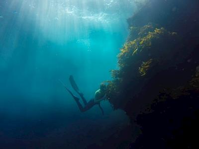 Our Seas Our Future Charity run