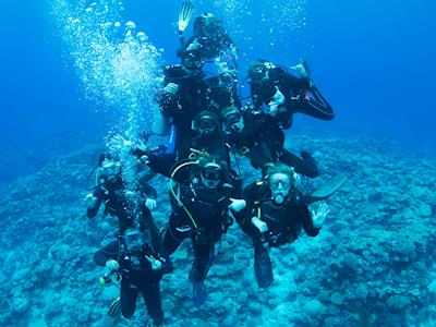 Ocean Lovers Action Efforts