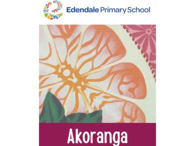 Edendale Colour Run 2024 - Akoranga Years 2&3