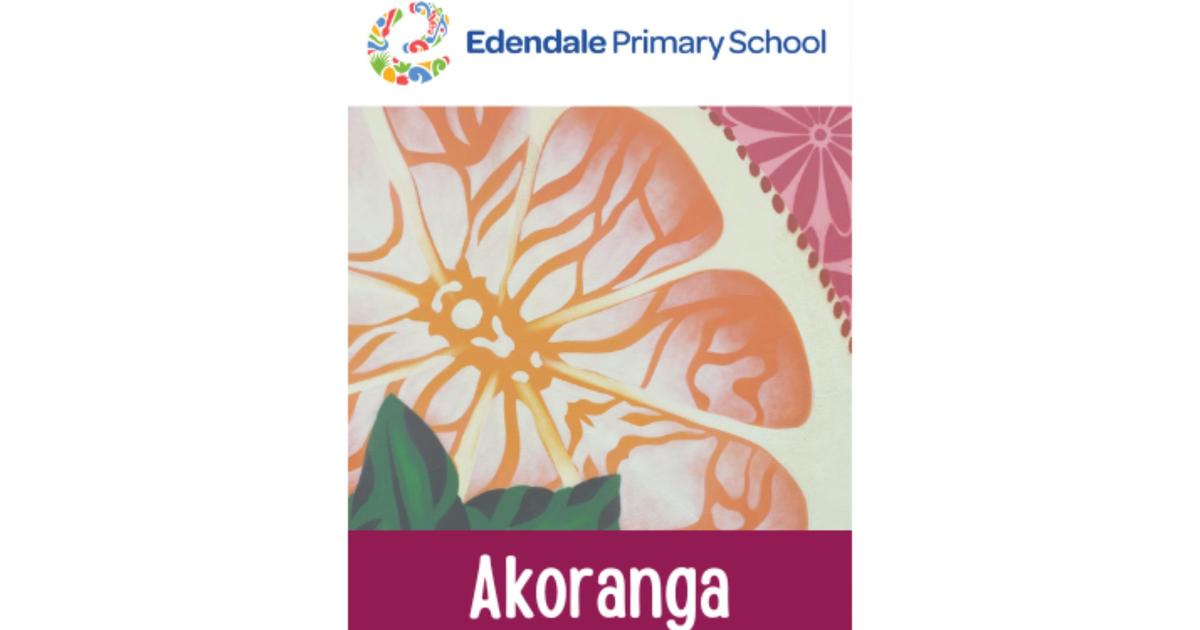 Edendale Colour Run 2024 - Akoranga Years 2&3 - Givealittle