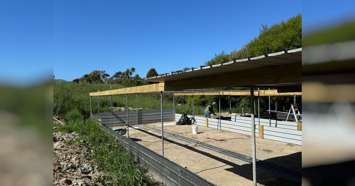 Picture Idea: Help Us With Our New Aviary Build