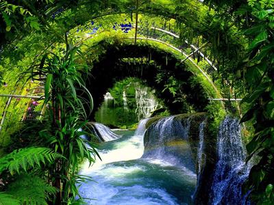 Amanda Wang - EY Move for Change