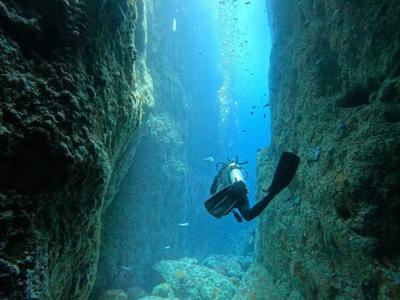 6 hour Run for the Ocean