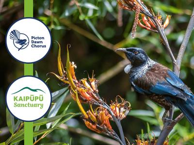 Picton Dawn Chorus Inc