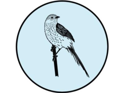 Mātātā / Fern bird