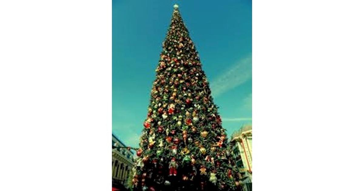 Greerton Village Giant Community Christmas Tree - Givealittle
