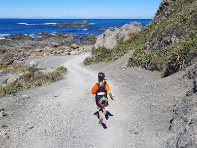 Speedy Spike runs 42km for the sea