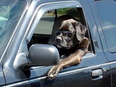 CBBR needs a vehicle !