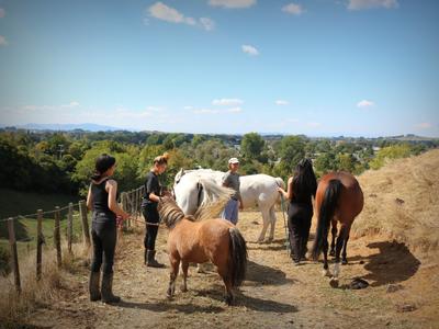 Life Changing Programmes for Vulnerable Youth and Women in the Waikato
