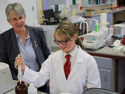 Nikita's Contribution to NZIBO