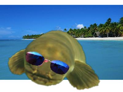 Crush the Cargill 24-hour Challenge 2018