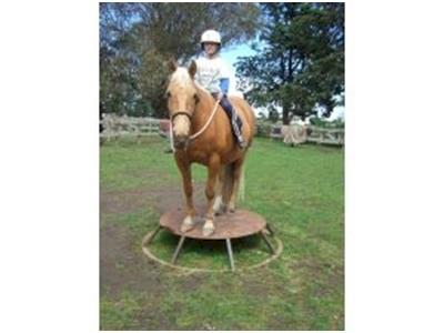 Horsing Around Aotearoa for Leg-Up Trust