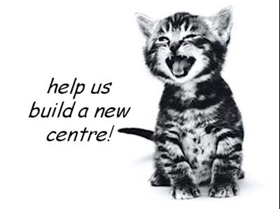 Lonely Miaow's Rescue Centre