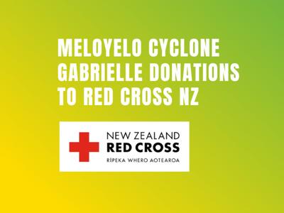 Help us raise $20,000 for Cyclone Gabrielle relief.