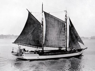 Help Save A Piece Of NZ Maritime Heritage- Scow Success