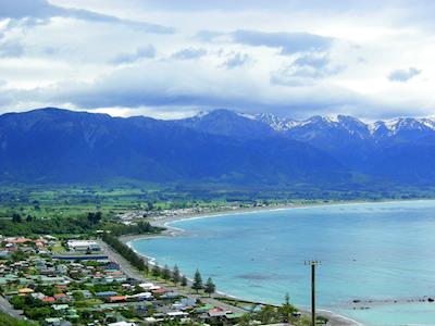 Kiwi Experience supports Kaikoura