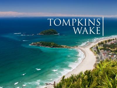 Summit Striders: Tompkins Wake Trek Team