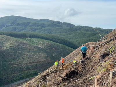 No Dig, No Ride, No Brains