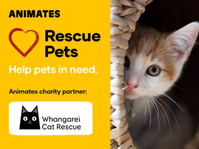 Animates Fundraiser - Proudly supporting Whangarei Cat Rescue