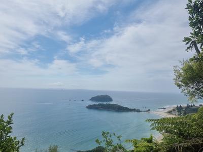 Let's get lovely animals a better life!