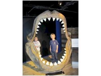 Chalky "The Great" White