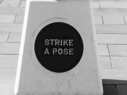 Help Lost Kiwis Get Found