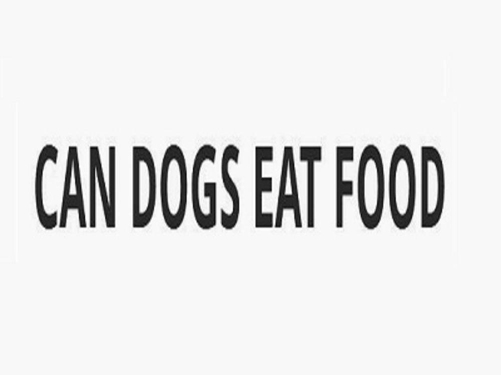 Can Dogs Eat Food Givealittle