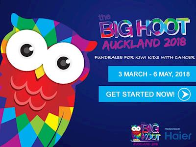 Big Hoot Fundraising