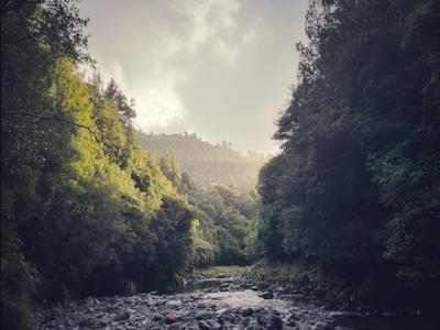 Help repair the Ohau Gorge track