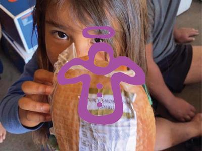 Help Bald Angels get Xmas Kai Boxes to Kiwi kids in the Far North!