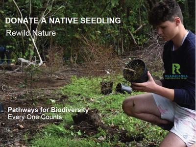 Donate a Seedling - Help Restore our Biodiversity