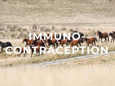 Save our National Heritage