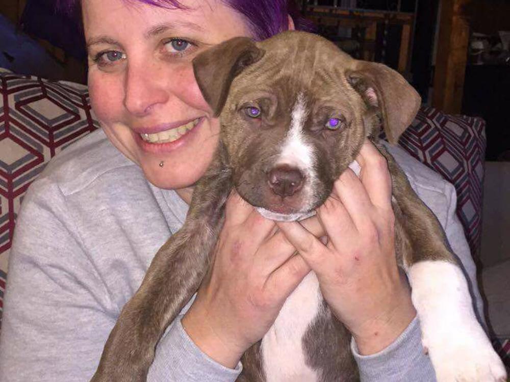 Donna Dolittle's Animal Rescue Kaitaia NEW Truck Fund Givealittle