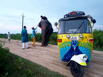 Rickshaw Run 2018 - Rickshaw McCaw